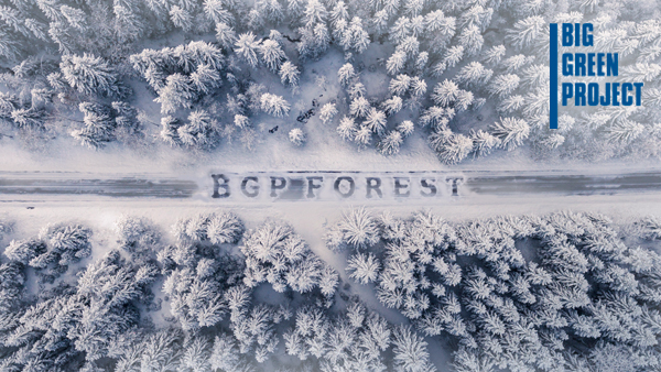 BGP Forest: un contributo alla sostenibilità
